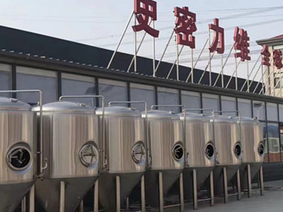 嘉兴精酿啤酒设备厂—市场规模与跨界新需求